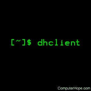 dhclient command