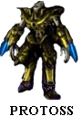 Protoss character model