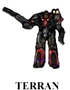 Terran character model