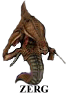 Zerg character model