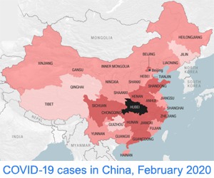 Coronavirus in China