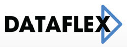 Dataflex logo