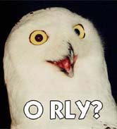 O'rly owl meme