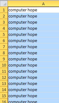 Same words entered in multiple Excel cells.