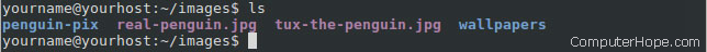 Listing the files in the images directory using ls command