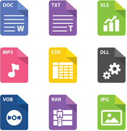 Various computer file formats.