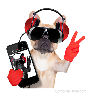 Dog wearing headphones and sunglasses, holding a smartphone.