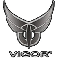 Vigor Gaming