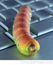 Computer worm